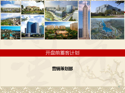 金茂珑悦开盘前渠道拓展计划ppt课件