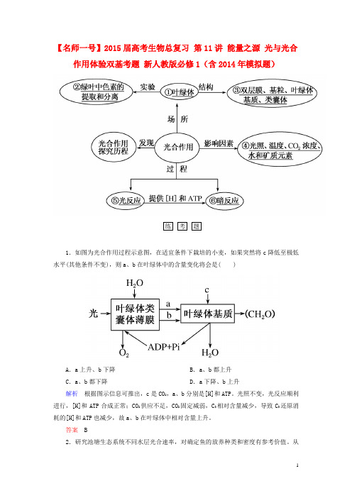 【名师一号】高考生物总复习 第11讲 能量之源 光与光合作用体验双基考题 新人教版必修1(含模拟题)