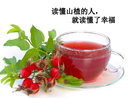 最新山楂中药炮制学培训课件