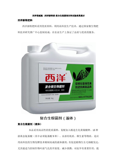 西洋诺威施 西洋新特肥-复合生根菌剂田间试验效果展示