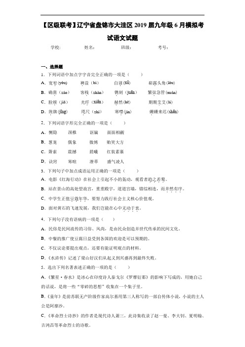 【区级联考】辽宁省盘锦市大洼区2019届九年级6月模拟考试语文试题