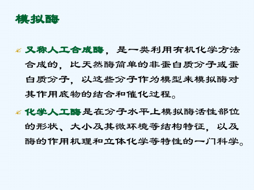 酶的模拟