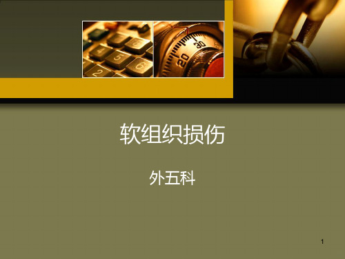 软组织损伤PPT课件