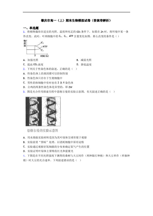 肇庆市高一(上)期末生物模拟试卷(答案带解析)