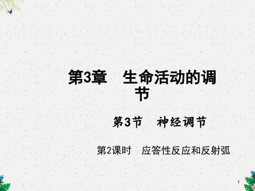 八年级科学上册浙教版作业课件：第3章生命活动的调节第3节 神经调节 第2课时 应答性反应和反射弧
