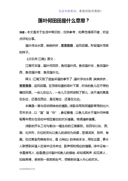 莲叶何田田是什么意思？