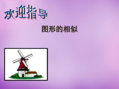 2019年秋苏科初中数学九年级下册《6.0第6章 图形的相似》PPT课件.ppt