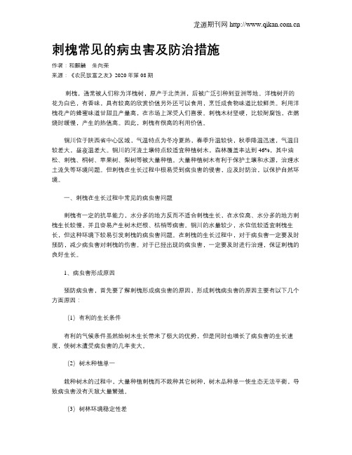 刺槐常见的病虫害及防治措施