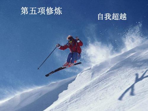 第五项修炼
