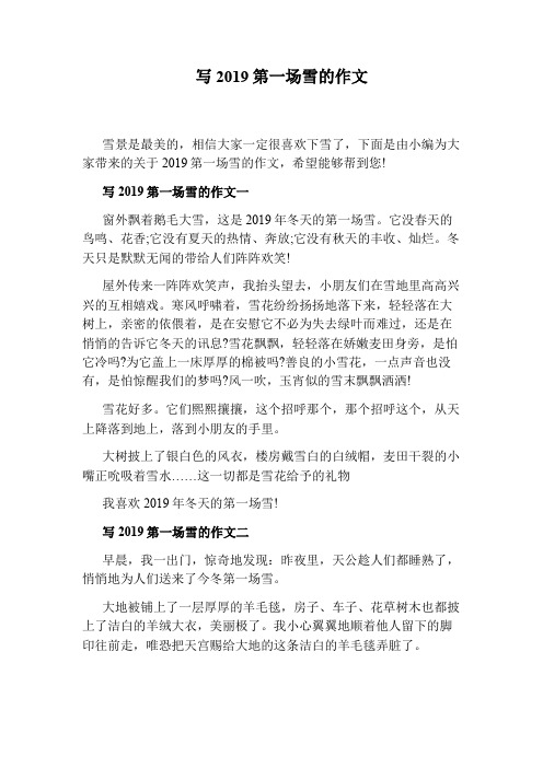 写2019第一场雪的作文