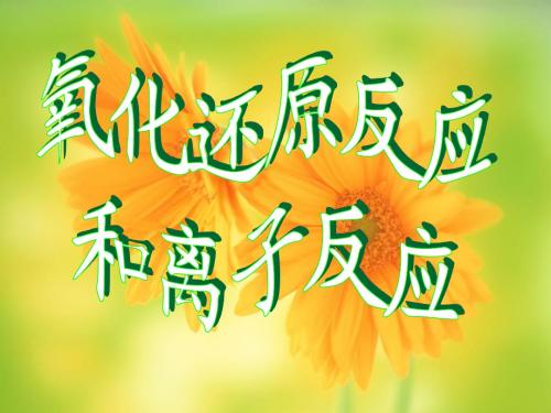 2离子反应+氧化还原反应