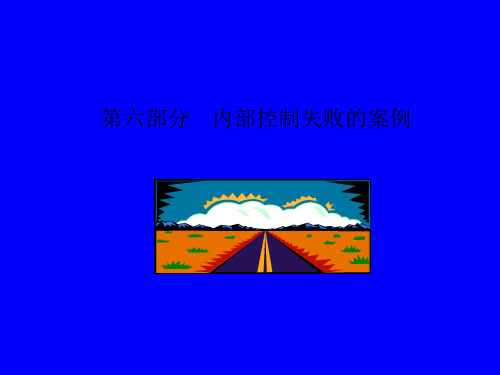 内部控制失败的案例