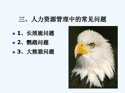 人力资源管理中的常见问题PPT课件