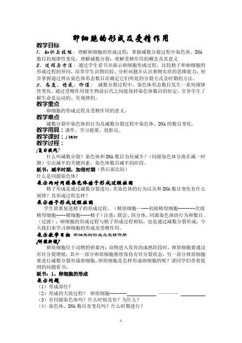 人教课标版高中生物必修2第2章《卵细胞的形成及受精作用》教案
