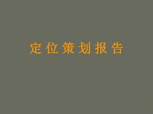 2008年10月河北白沟商业项目定位策划报告71p