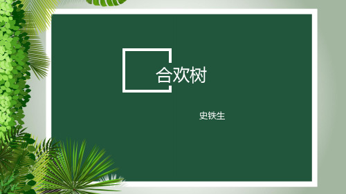 《合欢树》教学PPT