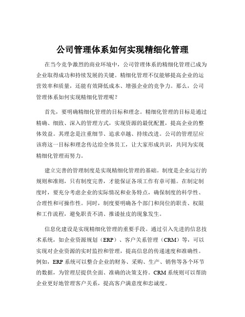 公司管理体系如何实现精细化管理