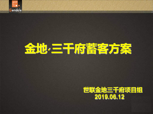 2019长沙河西别墅大盘 金地·三千府蓄客方案 36P-PPT精选文档