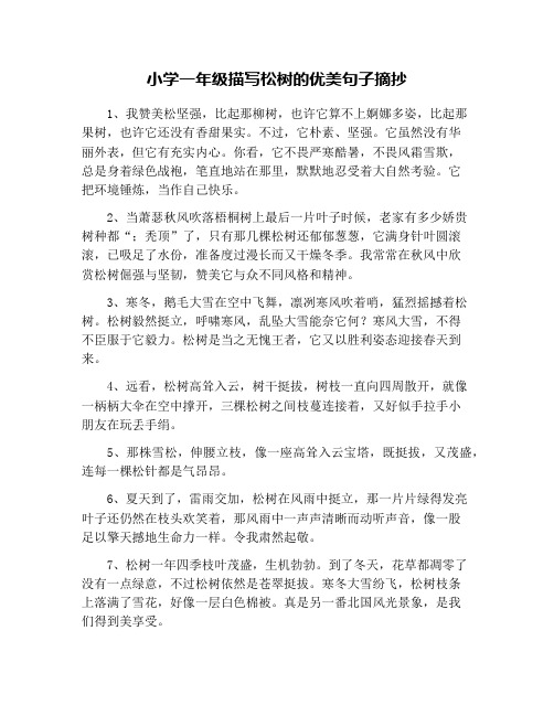 小学一年级描写松树的优美句子摘抄