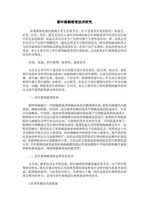 彩叶植物培育技术研究