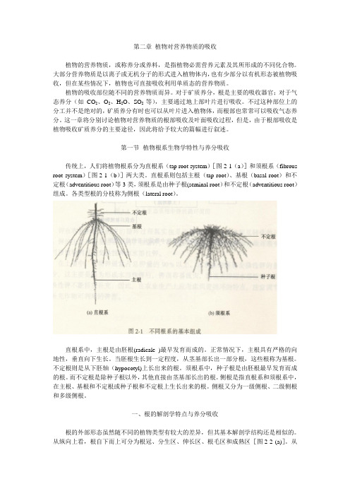 第二章 植物对营养物质的吸收