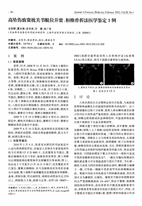 高坠伤致寰枕关节脱位并寰、枢椎骨折法医学鉴定1例