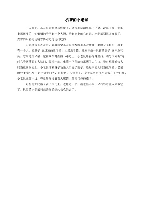 机智的小老鼠