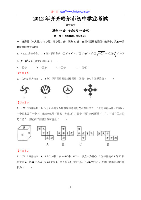 2012年中考数学【齐齐哈尔卷】精解.