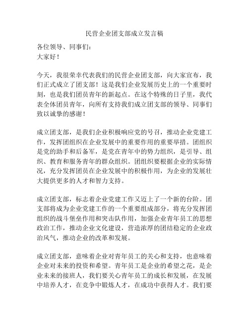 民营企业团支部成立发言稿