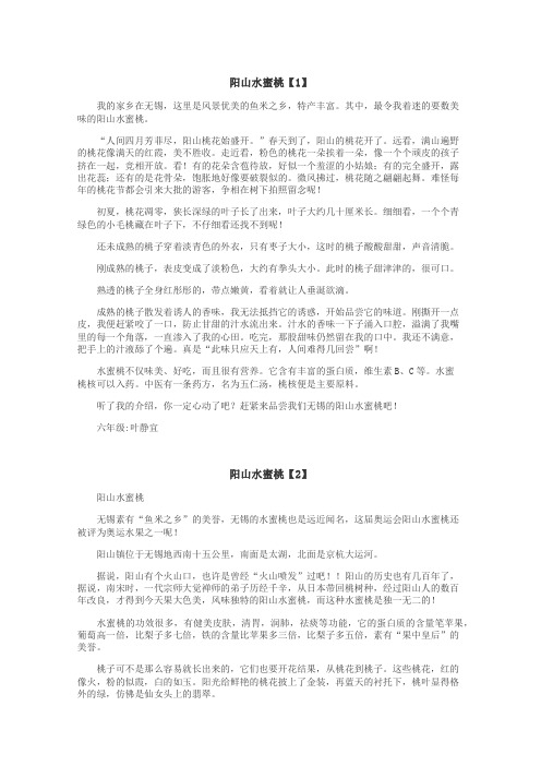 阳山水蜜桃作文
