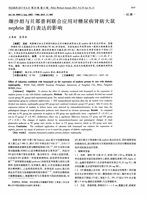 缬沙坦与贝那普利联合应用对糖尿病肾病大鼠nephrin蛋白表达的影响