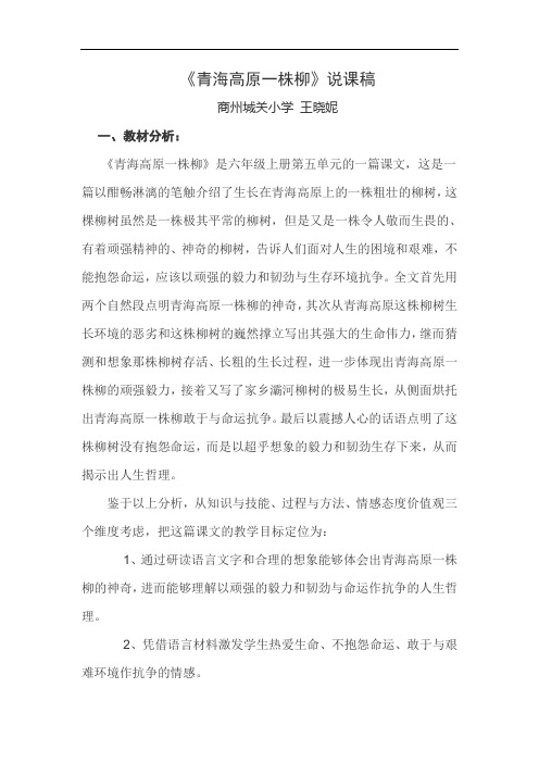 青海高原一株柳说课