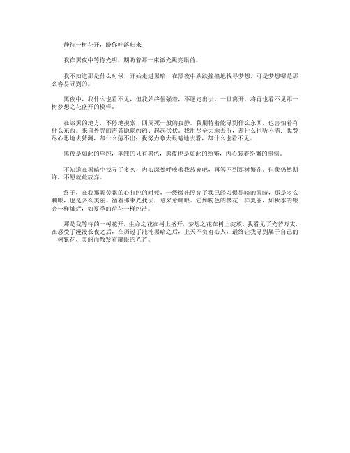 静待一树花开,盼你叶落归来