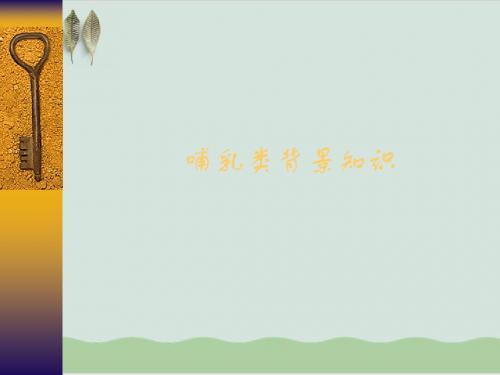 哺乳类背景知识PPT课件( 54页)