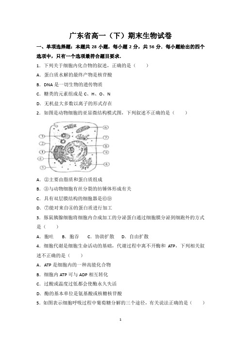 广东省高一(下)期末生物试卷(含参考答案)