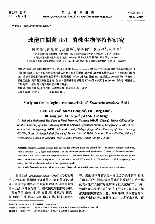 球孢白僵菌Bb11菌株生物学特性研究