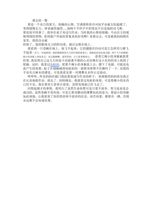 难忘的一瞥