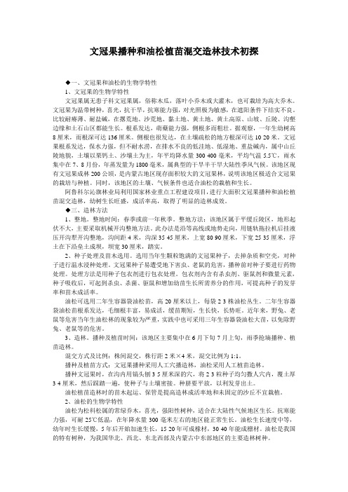 文冠果播种和油松植苗混交造林技术初探