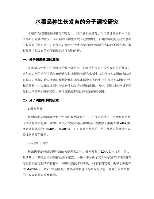 水稻品种生长发育的分子调控研究