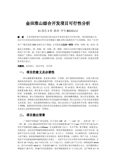 金田淮山综合开发项目可行性报告