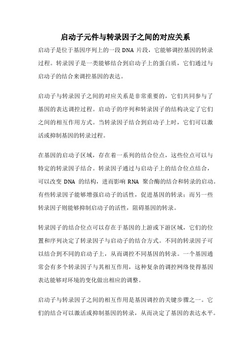 启动子元件与转录因子之间的对应关系