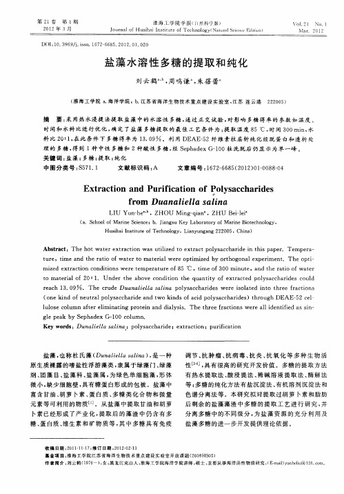 盐藻水溶性多糖的提取和纯化