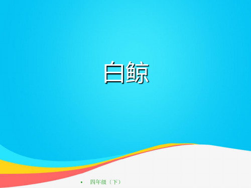 (推荐)白鲸教学演示PPT资料