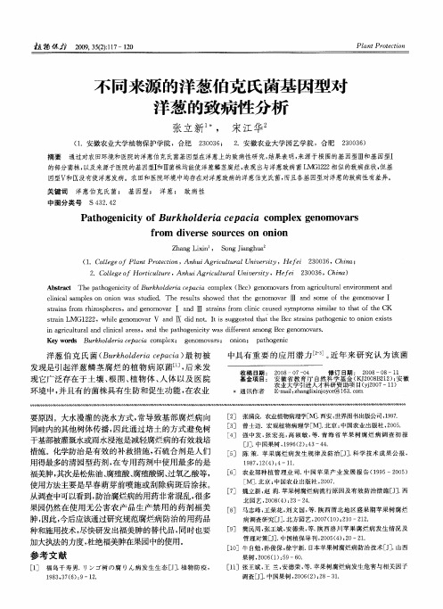 不同来源的洋葱伯克氏菌基因型对洋葱的致病性分析