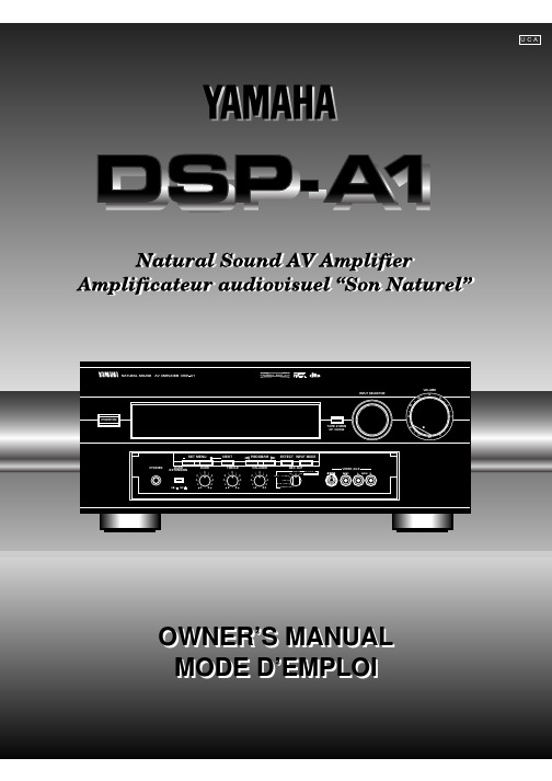 YAMAHA DSP-A1