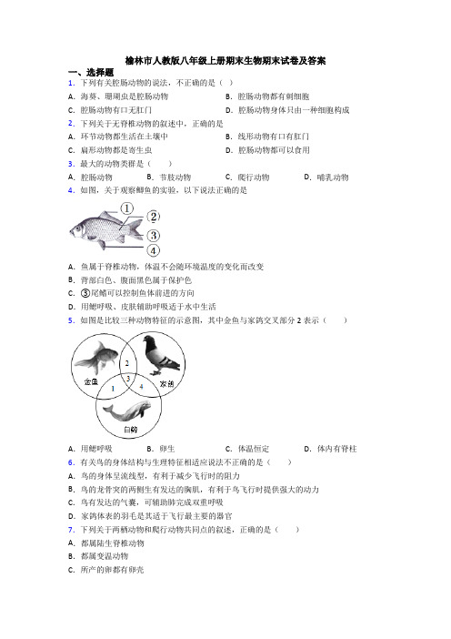 榆林市人教版八年级上册期末生物期末试卷及答案