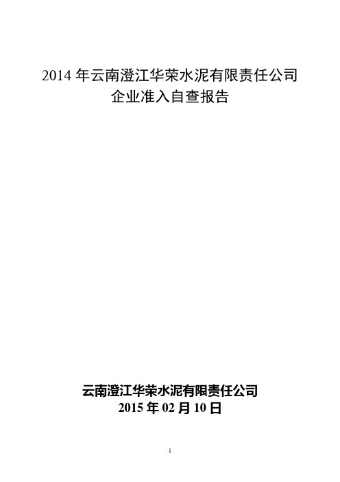 行业准入自查报告