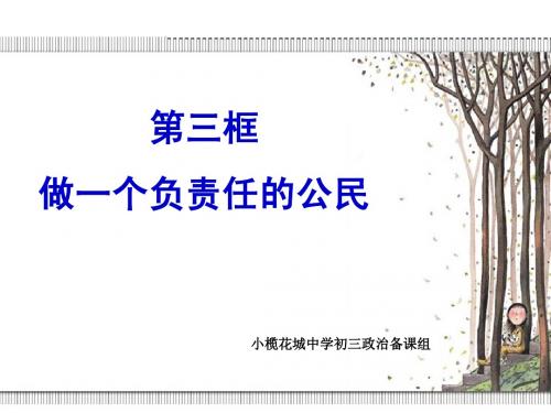 中山市小榄花城中学政治课件：人教版九年级全册 第二课第三框做一个负责任的公民
