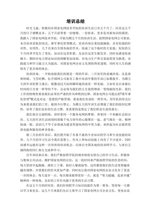 国网技术学院毕业总结3