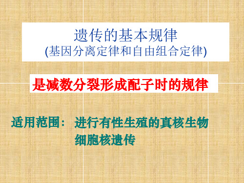 高三生物一轮复习名师精编课件：遗传的基本规律